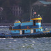 Jenny Tow Photo 16