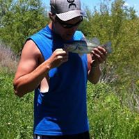 Cody Ross Photo 5