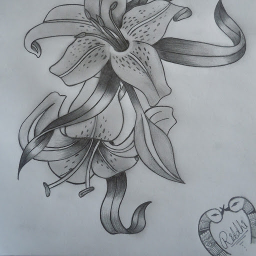 Riddhi Patel Photo 11