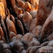 Joshua Neeley Photo 34