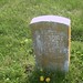 Robert Whitcomb Photo 25