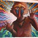 Mark Neiman Photo 22