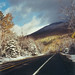 Sarah Degraw Photo 29