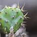 Victor Romero Photo 46