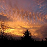 Donna Winn Photo 2