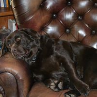 Dottie Young Photo 4