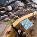 Laurel Knight Photo 29