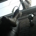 Kenneth Gaston Photo 32
