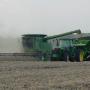 John Sisco Photo 29
