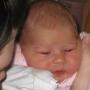 Lisa Darrough Photo 5
