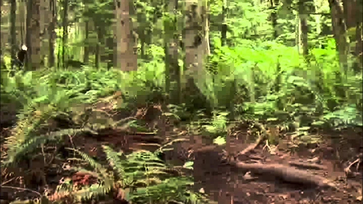 Richard Mukai Photo 2