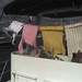 Marion Gale Photo 19