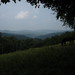 Joyce Whitt Photo 33