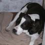 Maxine Booth Photo 9