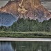 Thomas Mcnulty Photo 38