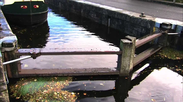 Shannon Lock Photo 20