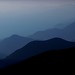Mark Michelson Photo 28