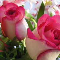 Mohammad Nazir Photo 8