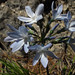 Kathy Stiles Photo 30