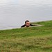 Kyle Carter Photo 42