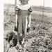 Cheryl Young Photo 49