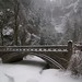 Kevin Kroll Photo 33