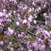 Heather Richmond Photo 40