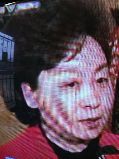 Sue Cho Photo 14