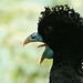 Bill Blue Photo 38