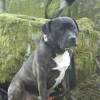 Laura Kirton Photo 3