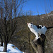 Alice Richards Photo 42