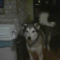 Joseph Enright Photo 10