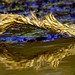 Miquel Ruiz Photo 25