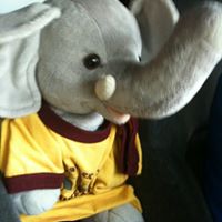 Toby Brewer Photo 4