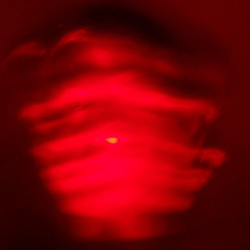 Leonardo Cortes Photo 9