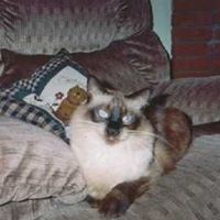 Nancy Hutchings Photo 3