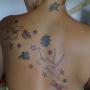 Kathy Krause Photo 26