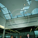 Garry Griffin Photo 33