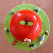 Pamela Apple Photo 24