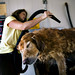 Tracey Whitten Photo 28