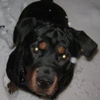 Ryan Trout Photo 4