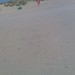 Betty Beach Photo 33