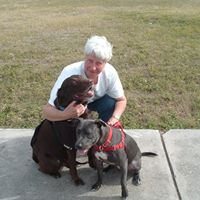 Shirley Elkins Photo 7