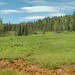 Ray Wells Photo 45