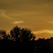 Robert Anson Photo 38