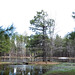Christine Pond Photo 19
