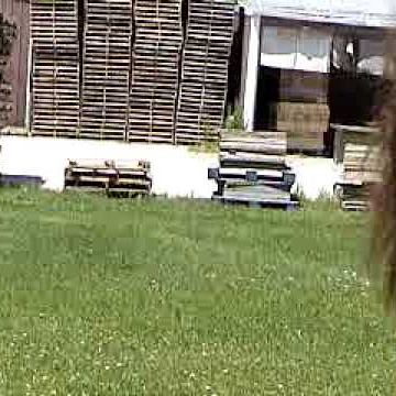 Karen Blevins Photo 12