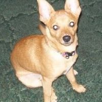 Julie Waddell Photo 9