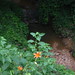 Carolyn Weed Photo 21