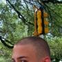 Josh Pedersen Photo 23